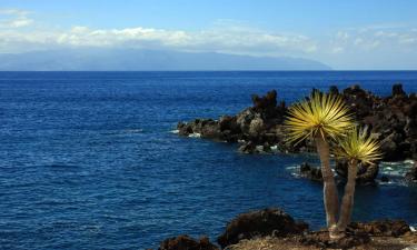 La Playa Calera的度假短租房