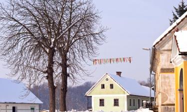 Zgornja Kungota的带停车场的酒店