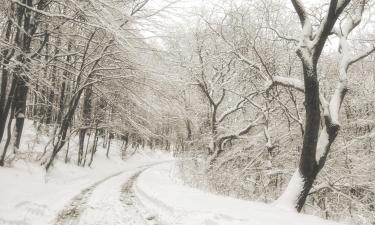 博尔塞克的滑雪度假村