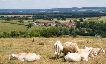 Vitry-en-Charollais的Cheap Hotels