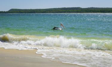 Pelican Waters的海滩短租房