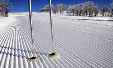韦姆达伦的滑雪度假村