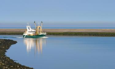 Sint Philipsland的海滩短租房