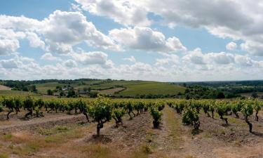 Rochefort-sur-Loire的带停车场的酒店