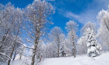 卡特佩的滑雪度假村