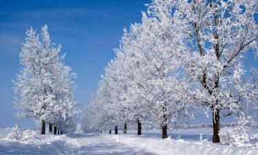 本赫沃的滑雪度假村