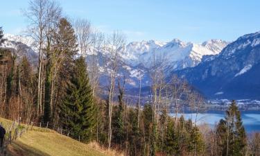 Hofstetten 的滑雪度假村