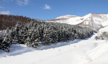 赤井川的带停车场的酒店