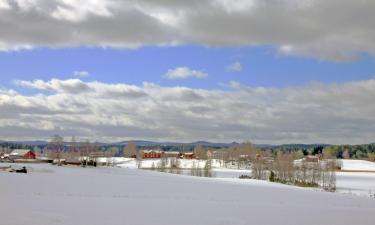 Klövsjö的滑雪度假村