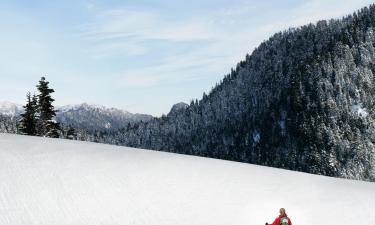 潘诺拉马的滑雪度假村