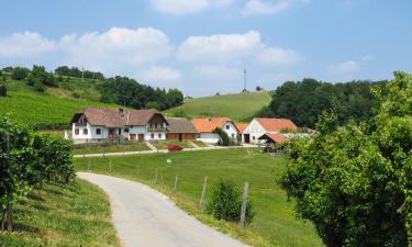 Jiršovci的乡村别墅