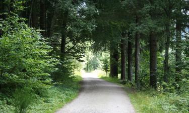 Menzenschwand-Hinterdorf的旅馆