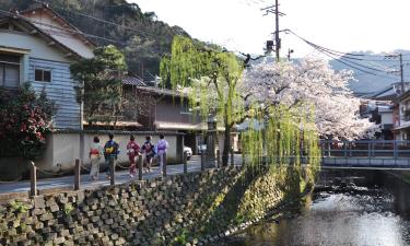 丰冈市的温泉住宿