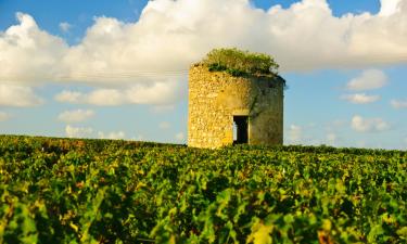 Saint-Michel-de-Fronsac的酒店