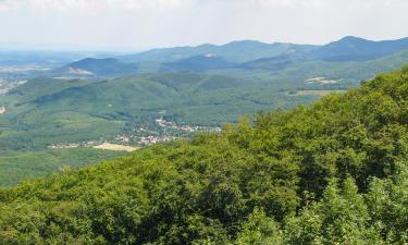 保拉德绍什瓦尔的住宿加早餐旅馆