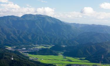 米原度假心动好价