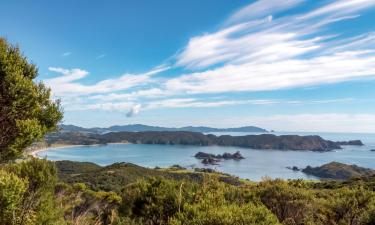 Whangaruru North的带停车场的酒店