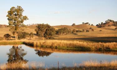 Yarra Junction的带停车场的酒店