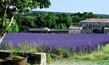 Saint-Auban-sur-Ouvèze的度假短租房