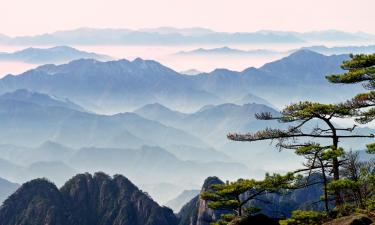 马埃岛贝拉扎尔区的旅馆