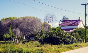 楚伊的自助式住宿