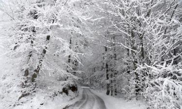 多内尔斯巴赫瓦尔德的滑雪度假村