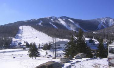 Stratton Mountain的乡村别墅