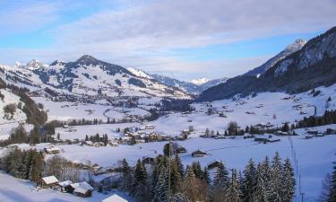 Les Moulins的滑雪度假村