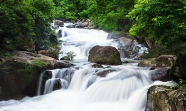 坤西育府的度假村