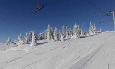 萨伦的滑雪度假村