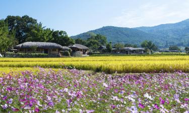 牙山市的酒店