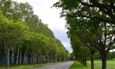 带广的温泉住宿