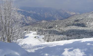 饭山市的滑雪度假村