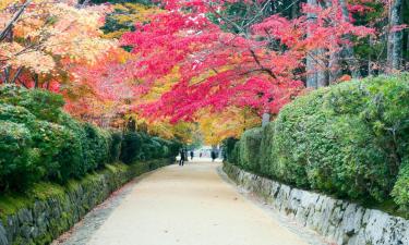 高野山的青旅