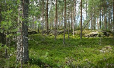 Jämijärvi的带停车场的酒店