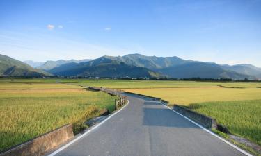 池上的住宿加早餐旅馆