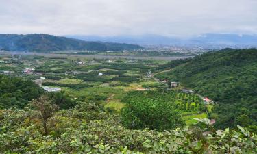 大园区的无障碍酒店