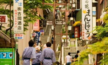 涩川市的酒店