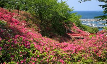 岬町的自助式住宿