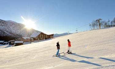 米尔克河谷的滑雪度假村