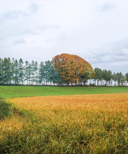 卡梅里的美景