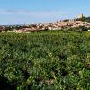 Châteauneuf的带停车场的酒店