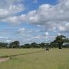 Kwa Kuchinia