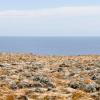 Cape Bridgewater