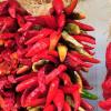 Los Algodones