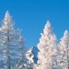 拉费里耶尔的滑雪度假村