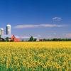 Casselman