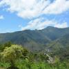 Piñas