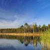 Wierzchowiska