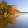 Pine Grove